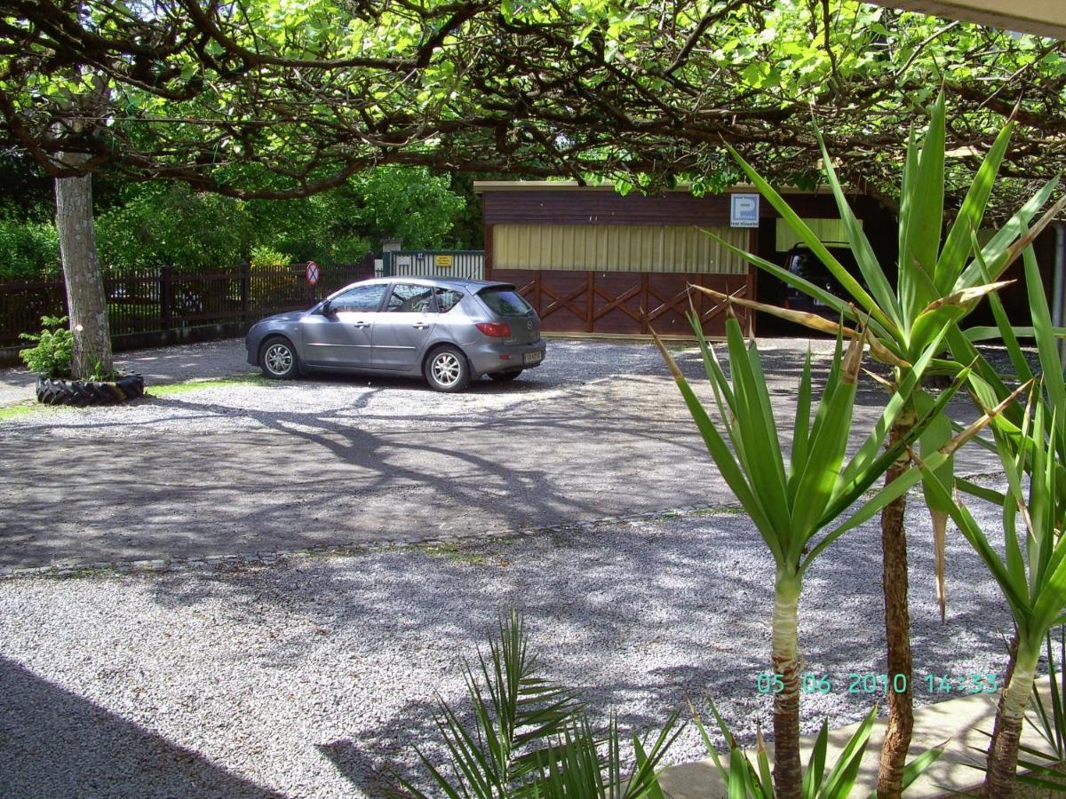 Hotel Voeslauerhof Bad Voeslau Buitenkant foto
